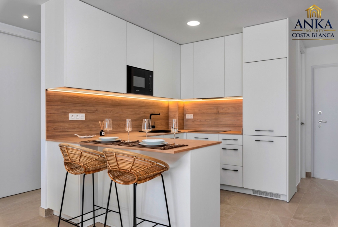 batch-Benijofar – MoMa II AMBAJA RESOLUCION_-13