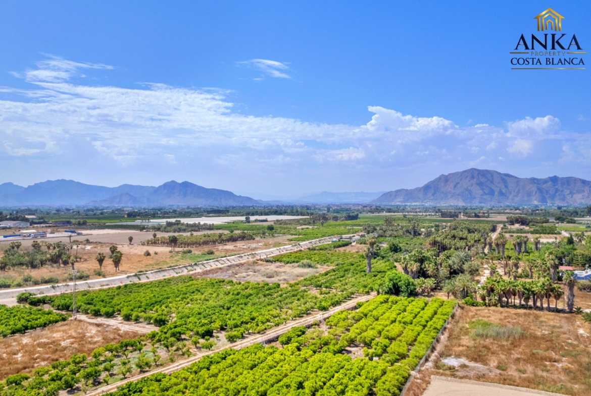 edited-Jacarilla- Alba VerdeWEBSITE-44