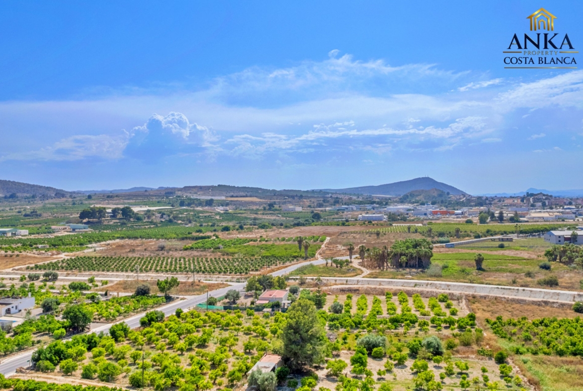 edited-Jacarilla- Alba VerdeWEBSITE-45