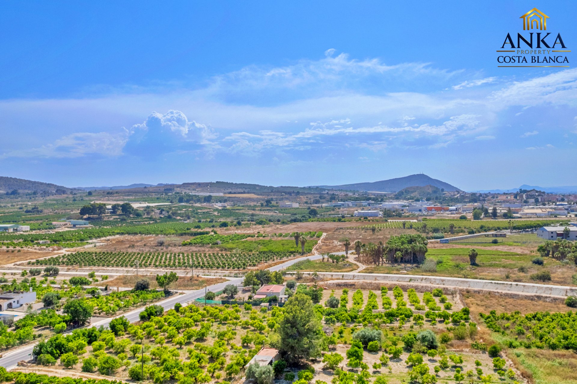 edited-Jacarilla- Alba VerdeWEBSITE-45