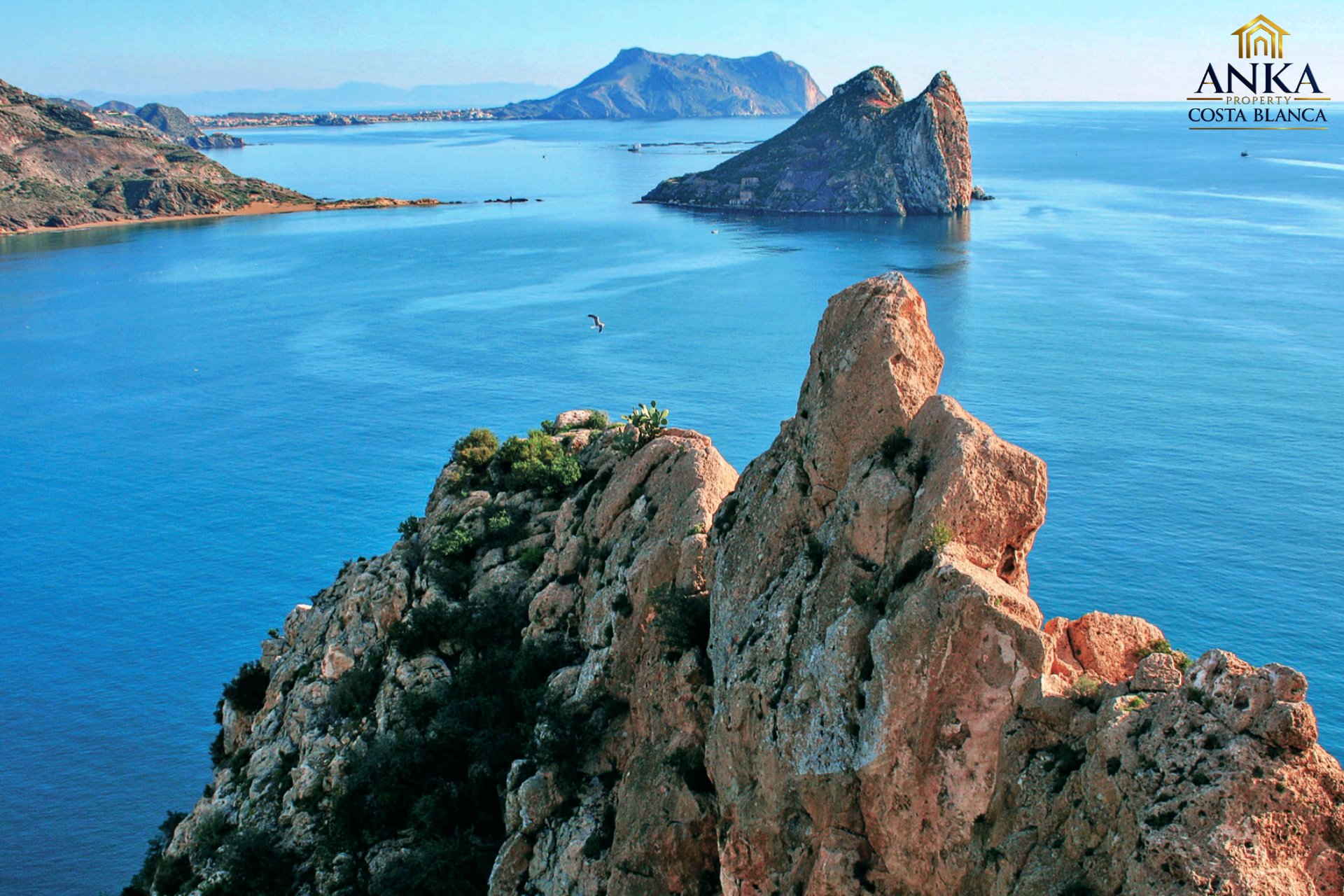 AguillasaÇrea cabeza caballo